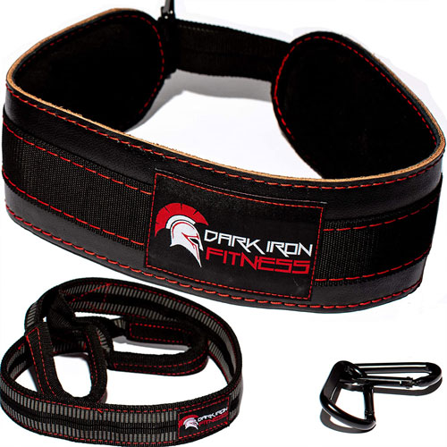 Dark Iron Fitness Dip Belt