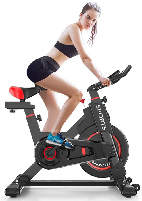 Delfy Stationary Exercise Bike