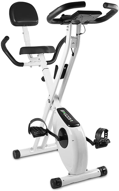 bigzzia Exercise Bike 2
