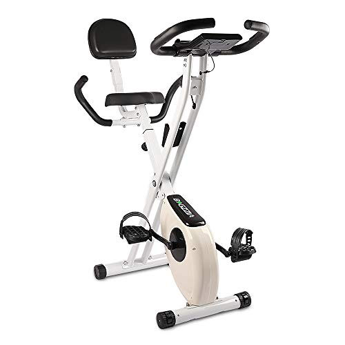 bigzzia Exercise Bike