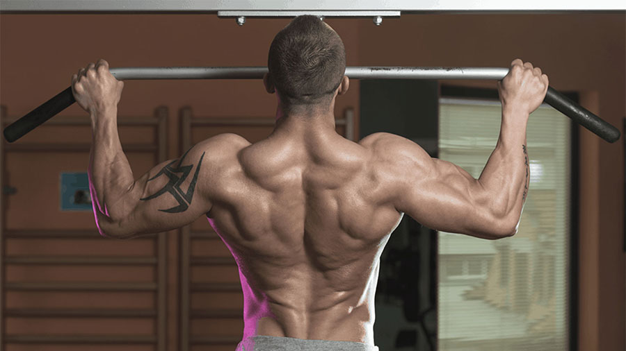 8 Best Free Standing Pull Up Bars UK / Power Towers Of 2021